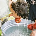 apple_bobbing