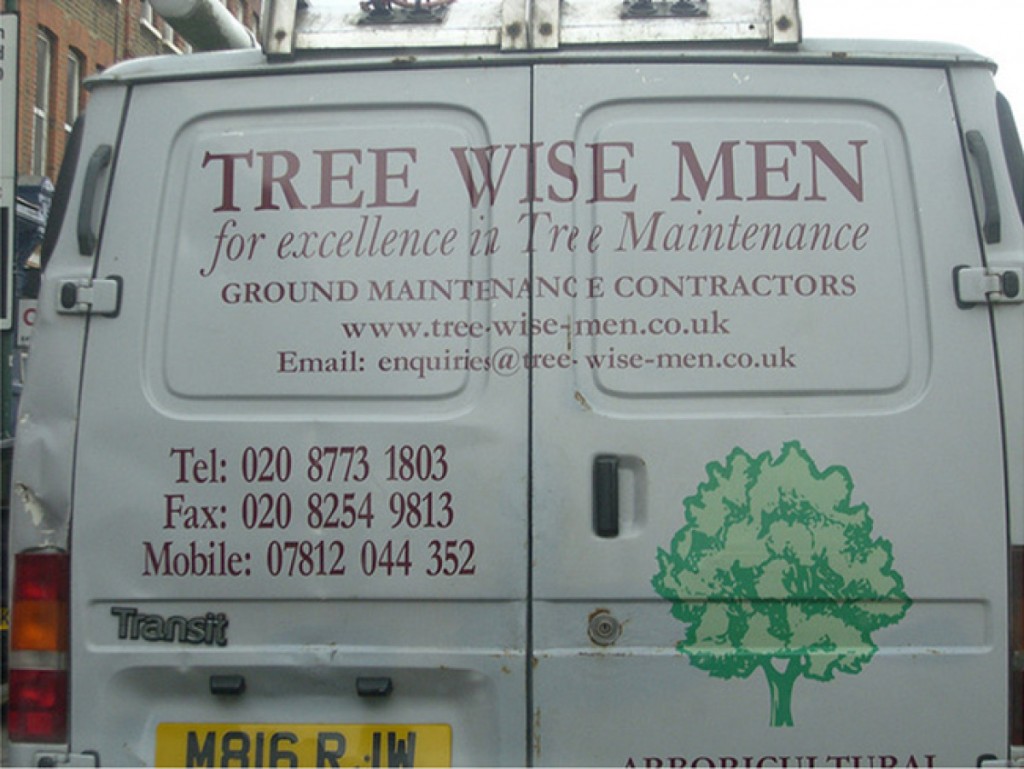 tree wise